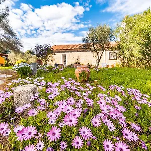 Casa Lilliosa Hébergement de vacances